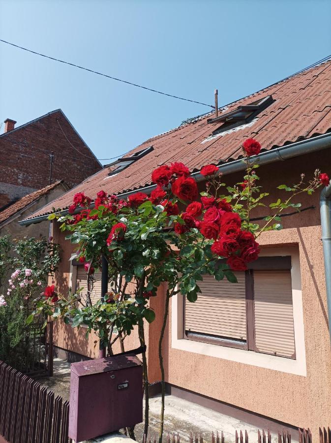 Annabelle Lägenhet Zagreb Exteriör bild